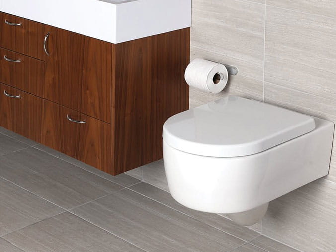 Wall mounted toilet